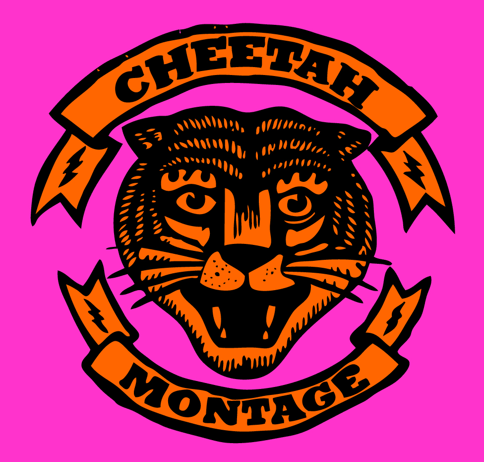 Cheetah-Montage-Seattle-Washington-Art-Group