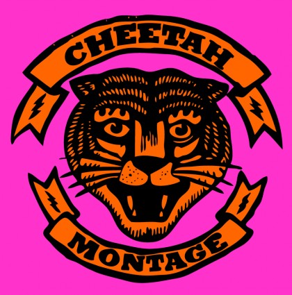 Cheetah Montage